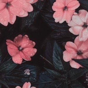 Meet your Posher, Flor